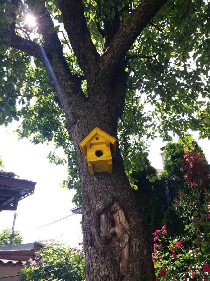 Hedgehog'S Home - Jezeva Kucica Free Parking SJJ Eksteriør billede